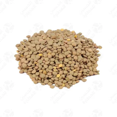 عدس بلدي صغير