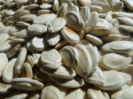 بزر بطيخ جامبو