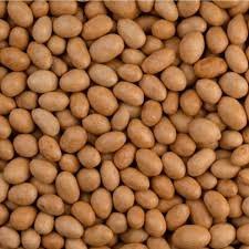 فستق برازيلي