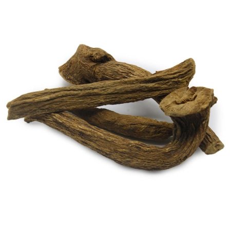 قسط هندي عود