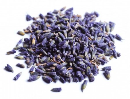 خزامى( لفندر)